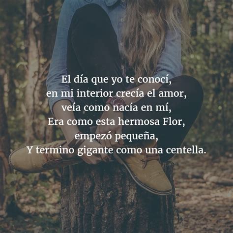 Poemas Para La Mujer Image To U