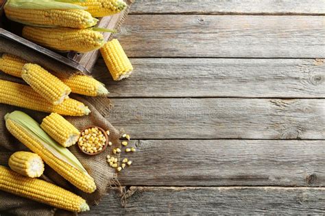 Sweet Corns Stock Image Image Of Ripe Maize Corns 76072783