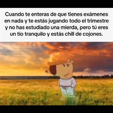 Cu L Es El Origen Y Significado Del Meme De T O Tranquilo Y Chill