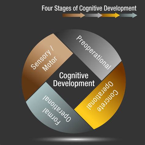 Cognitive development Free Stock Vectors