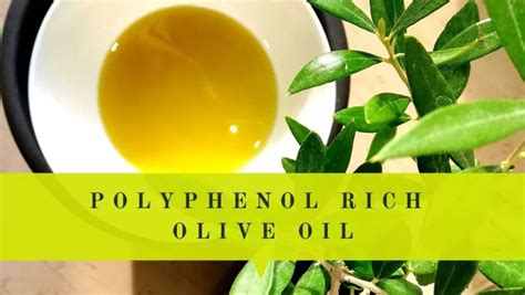 Polyphenol Rich Olive Oil Benefits | Levels | Other Facts | Oliviada