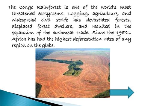 Human Destruction In The Congo Rainforest Ppt Download