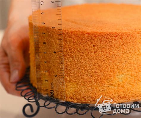 Пышный Бисквит, который НЕ ОПАДАЕТ - пошаговый рецепт с фото на Готовим ...