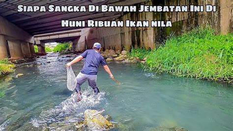 Tak Sia Sia Nyeser Ikan Di Bawah Jembatan Ini Ternyata Jadi Sarang Ikan