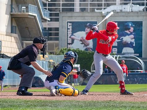 College Baseball Wikipedia