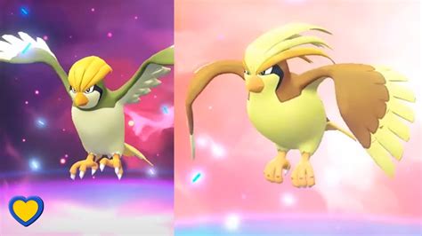 Shiny Pidgeotto Evolves Into Shiny Pidgeot At Level 36 In Pokémon Lets