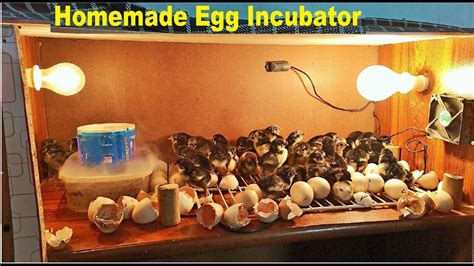 Homemade Chicken Incubator