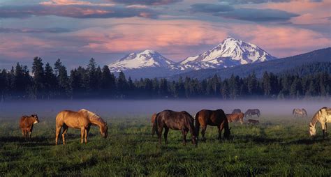 The Ultimate Guide To Sisters Oregon