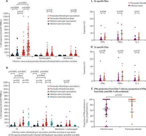 T Cell And Antibody Responses To First Bnt162b2 Vaccine Dose In