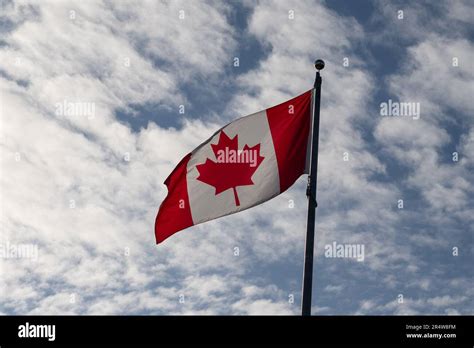 A Canadian flag blowing in the wind. The red maple leaf is on a square ...