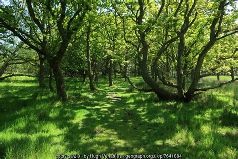 Woodland Hickling Broad Nature Reserve Hugh Venables Cc By Sa