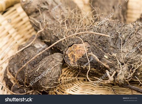 Dioscorea Alata Root Stock Photo 529191979 Shutterstock