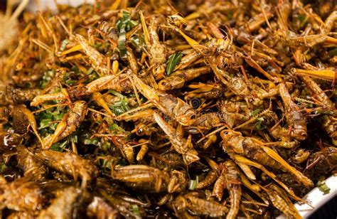 Marketplace With Fried Insects Grasshoppers And Larvae At Street Food Market Thailand Stock