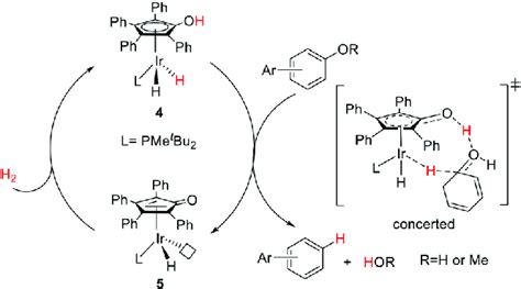 Proposed mechanism for the hydrogenolysis of arenols and aryl methyl... | Download Scientific ...