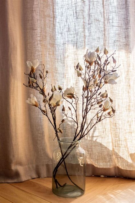 Witte Kunst Magnolia Tak De Mooiste Kunst Magnolia Takken