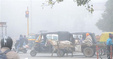 Biting Cold Wave In Punjab Haryana Narnaul Coldest