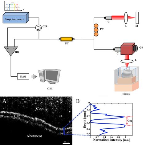 Schematic Of The Optical Coherence Tomography Oct From The Left A Download Scientific