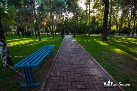 Дорожка в парке (32 фото) - фото - картинки и рисунки: скачать бесплатно