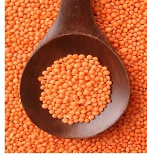 Buy High Quality Bulk Dried Whole Split Lentils Red Lentils Green