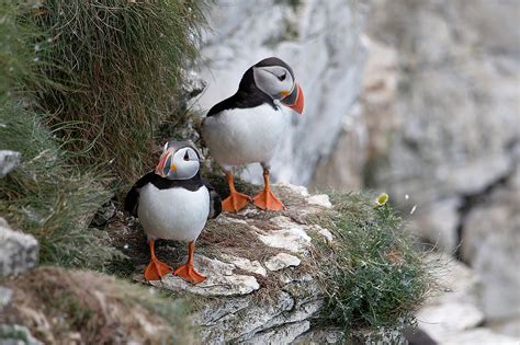 Dunnet Head: Scotland's Crown Jewel | The Planet D