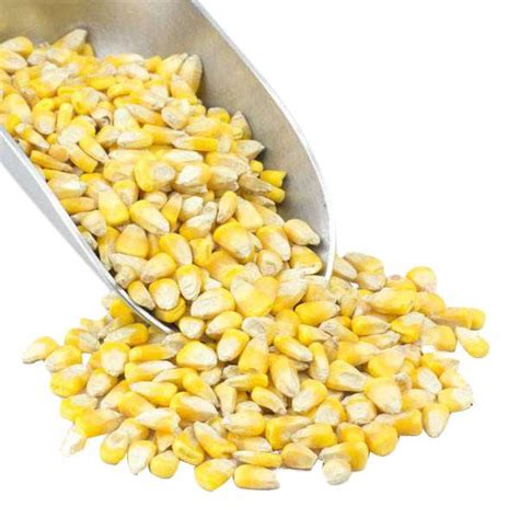 Whole Corn vs. Cracked - Linessa Farms, LLC