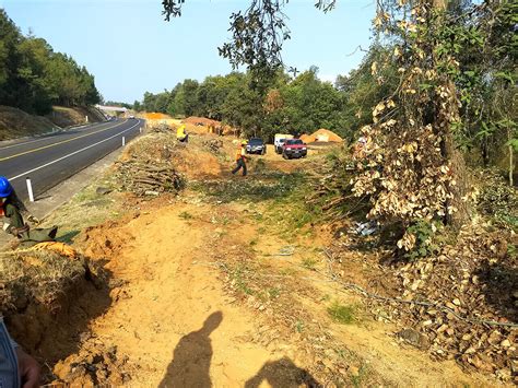 Cambio de Uso de Suelo en Terrenos Forestales Cóbano