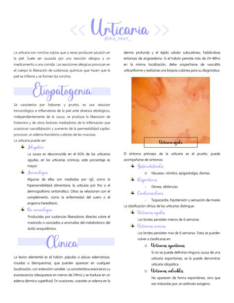 La Urticaria Y Datos Que Necesitas Saber La Urticaria Son Ronchas