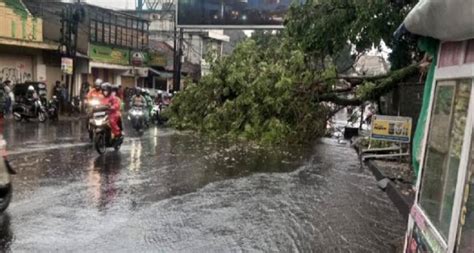 Bandung Diguyur Hujan Lebat Dan Angin Kencang Pohon Bertumbangan