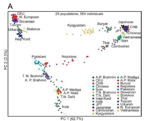 Dravidians genetics = Mongoloid / East Asians but not African ...