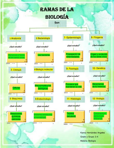 Dicsiplinas De La Biolog A Y Bi Logos Mind Map Hot Sex Picture