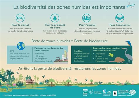 Zones Humides Et Biodiversit Zones Humides