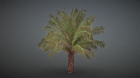 Palm Oil Tree - Buy Royalty Free 3D model by Asyraaf Ahmadi (@asyraaf) [612cd33] - Sketchfab Store