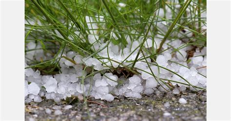 Hail storm inflicts $6 million damage on Canterbury farmers