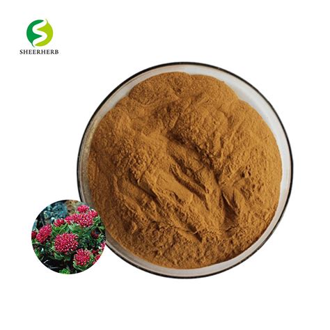 High Quality Rhodiola Rosea Root Extract Salidroside Salidroside Powder