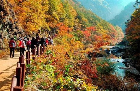 √ Seoraksan National Park Autumn - Popular Century