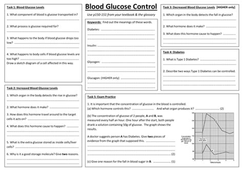 Sb7e Blood Glucose Control A3 Sheet Edexcel Single Biology Gcse