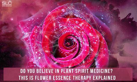 Do You Believe In Plant Spirit Medicine This Is Flower Essence Therapy