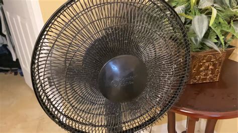 16 Comfort Zone Oscillating Pedestal Fan Model CZST161BTEBKDG YouTube