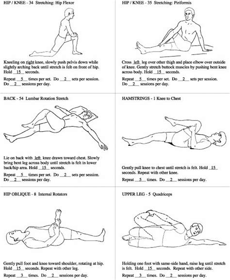 Pin on Sciatic Nerve