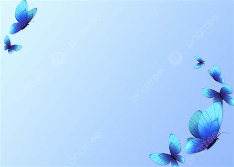 Blue Butterfly Light Blue Gradient Simple Border Background, Desktop ...