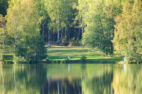 Lawn In Forest With Reflection Of Green Trees In Water Autumn In Woods