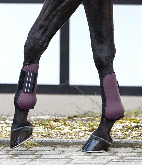 Tendon Boots Boots Kramer Equestrian