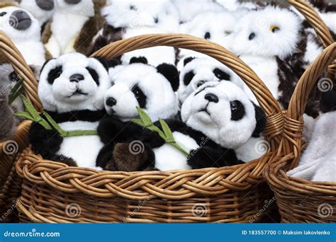 Panda Toy Soft Kids Gifi Child Stock Image | CartoonDealer.com #106068235