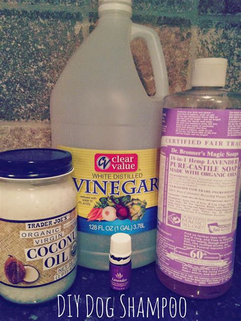 The Chenry Show: DIY Dog Shampoo