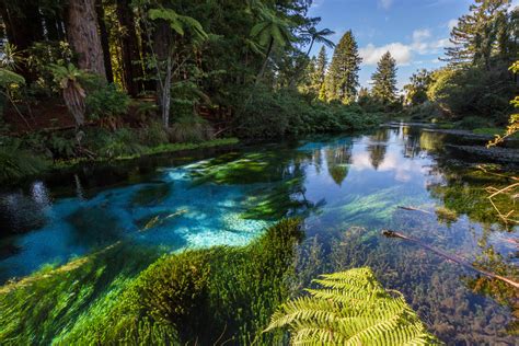 River Scenic and landscape in New Zealand image - Free stock photo
