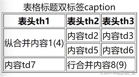 【前端笔记3】html基础2 标签的语法 表类、语义化前端table标签的语义 Csdn博客