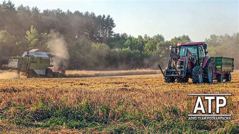 Żniwa z ClassąPszenica pod kosęClass88New Holland t6Zetor