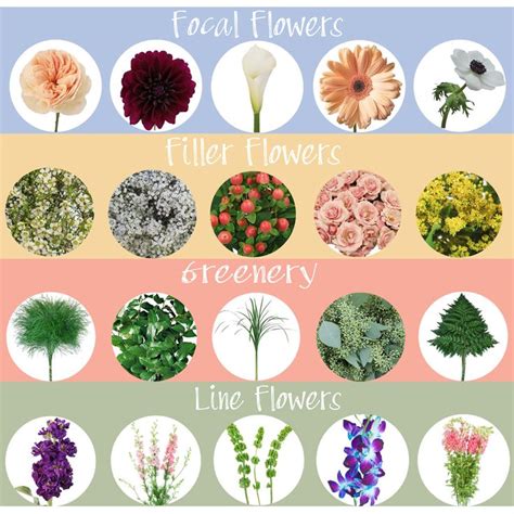 130+ Types of Flowers for Wedding Bouquets | FiftyFlowers | Types of ...