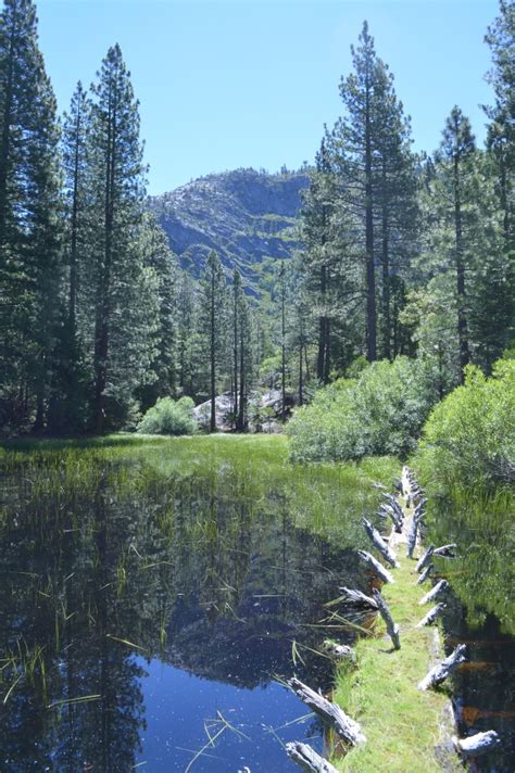 Pinecrest Adventures | Pinecrest Trails