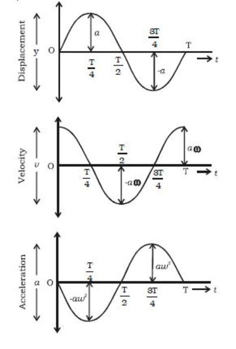 Particle Performing Shm Starts From Mean Position Plot A Graph Of